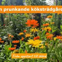 Evenemang: Odlingskurs - Den Prunkande Köksträdgården 10.15