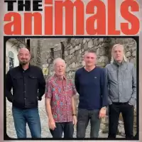 Evenemang: Legendariska The Animals Lirar I Umeå!