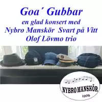 Evenemang: Goagubbar På Folkan