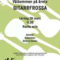 Evenemang: Gitarrfrossa 2026