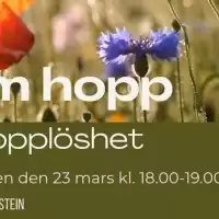Evenemang: Om Hopp Och Hopplöshet