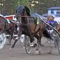 Evenemang: Vaggeryd årskort