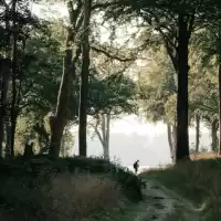 Evenemang: Valget Om Fremtiden - Fremtidskoaltionen X Snart