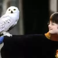 Evenemang: Harry Potter Sip & Paint