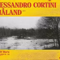 Evenemang: Alessandro Cortini + Småland