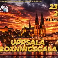 Evenemang: Uppsala Boxningsgala