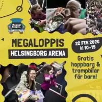 Evenemang: Besökare (vip) Helsingborg Arena 22 Feb 2026