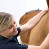 Evenemang: Föreläsning Med Marie Rhodin