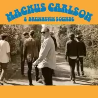 Evenemang: Magnus Carlson & Brunnsvik Sounds