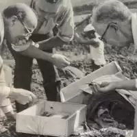 Evenemang: Arkeologkungen Gustaf Vi Adolf