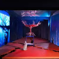 Evenemang: Opera (live) På Bio: Frida Och Diegos Sista Dröm