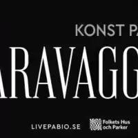 Evenemang: Caravaggio  (tal: Engelska) (text: Svenska)