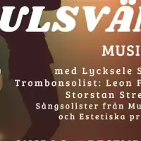 Evenemang: Julsväng