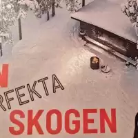 Evenemang: Den Perfekta Skogen