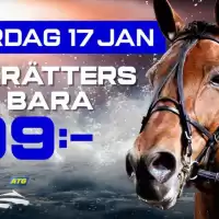 Evenemang: Tvårätters Och V85® - 199 Kr