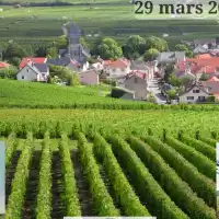 Evenemang: Vinlunch Bourgogne