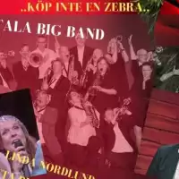 Evenemang: Konsert Motala Storband