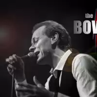 Evenemang: The Bowie Tribute - En Kärleksförklaring