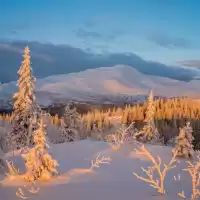 Evenemang: Vinterresa Av Franz Schubert