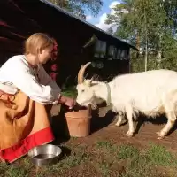 Evenemang: Föreläsning: Vad är Fäbodbruk?