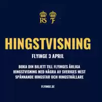 Evenemang: Hingstvisning