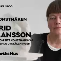 Evenemang: Möt Konstnären: Astrid Göransson