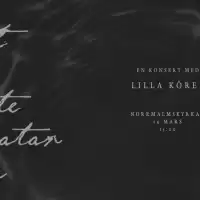 Evenemang: Det Vi Inte Pratar Om... - En Konsert Med Lilla Kören