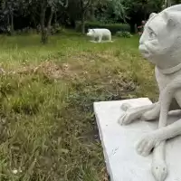 Evenemang: Musse Och Helge: Kristna Symboler Under Vikingatiden