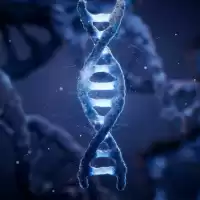 Evenemang: Gammalt Dna – En Sanning Med Modifikation