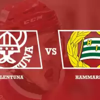 Evenemang: Vallentuna Hockey - Hammarby If