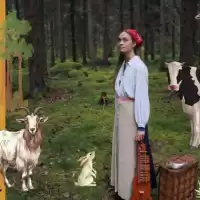 Evenemang: Skog Av Toner