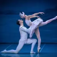 Evenemang: Svansjön Med Liveorkester