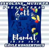 Evenemang: Vasaskolans Musiktreors Avslutningskonsert