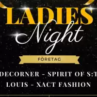 Evenemang: Mariestad Bois - Borlänge Hf       Ladies Night!