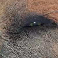 Evenemang: Konstvisning Slow Art