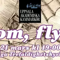 Evenemang: Kom, Flyg!