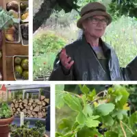 Evenemang: Föreläsning: Odlarglädje Och Självhushållning