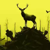 Evenemang: Divia – En Symfoni Av En Sårad Natur