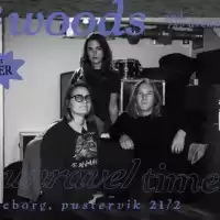 Evenemang: Viic Woods + Support: Mauer