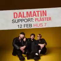 Evenemang: Dalmatin + Plåster | Hus 7