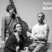 Evenemang: Agnes Persson Trio