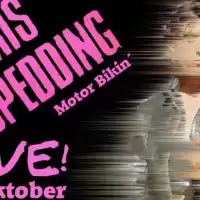 Evenemang: Chris Spedding & Stupidity