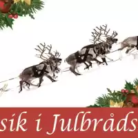 Evenemang: Musik I Julbrådskan 2025