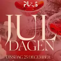 Evenemang: Juldagen 2024 / Onsdag 25 December/ Puls Nattklubb