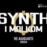Evenemang: Synth I Molkom