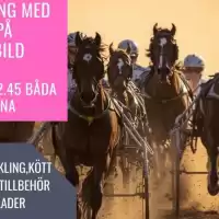 Evenemang: Elitloppet På Spiltas Restaurang