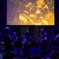 Evenemang: Humlan Och Pingvinen