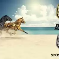 Evenemang: V85-lördag - Guldsprintern