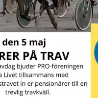Evenemang: Seniorer På Trav