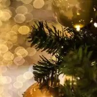 Evenemang: Odeum - Lunds Universitets Julkonsert